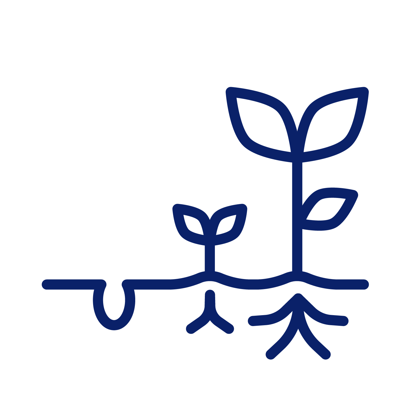 GROWTH_ICONS-01
