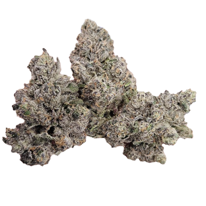 Apples & Bananas x Animal Z