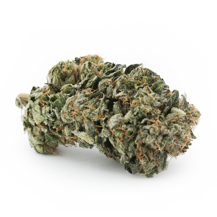 Pink Kush