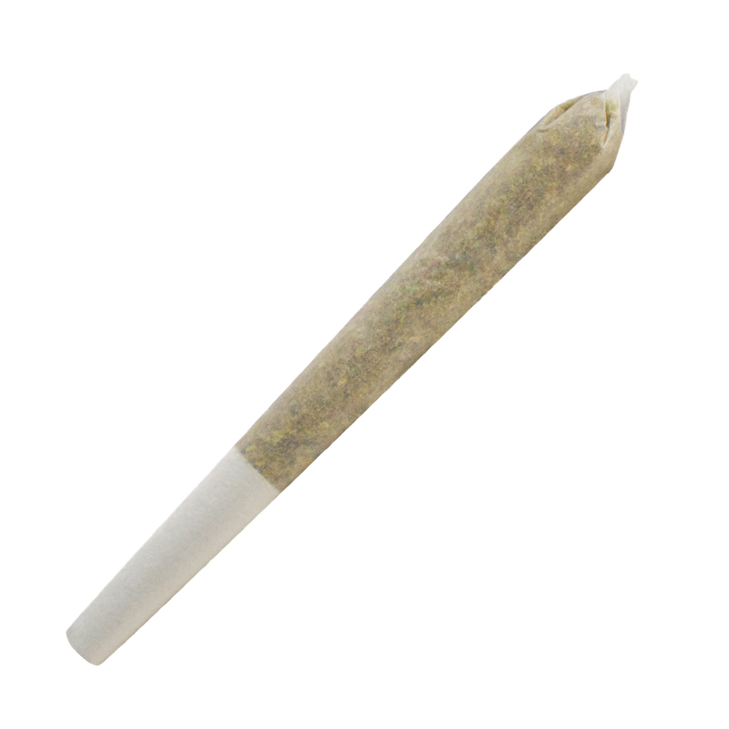 Gastro Pop Infused Pre-Roll