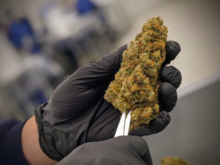 Hand Trimming
