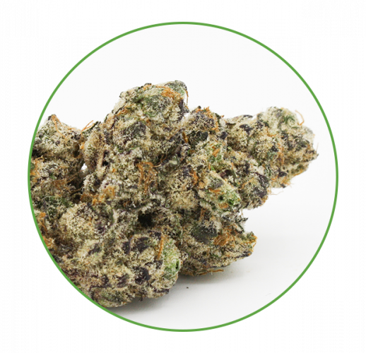 Purple Churro