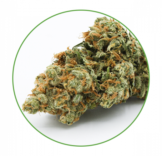 Super Lemon Haze